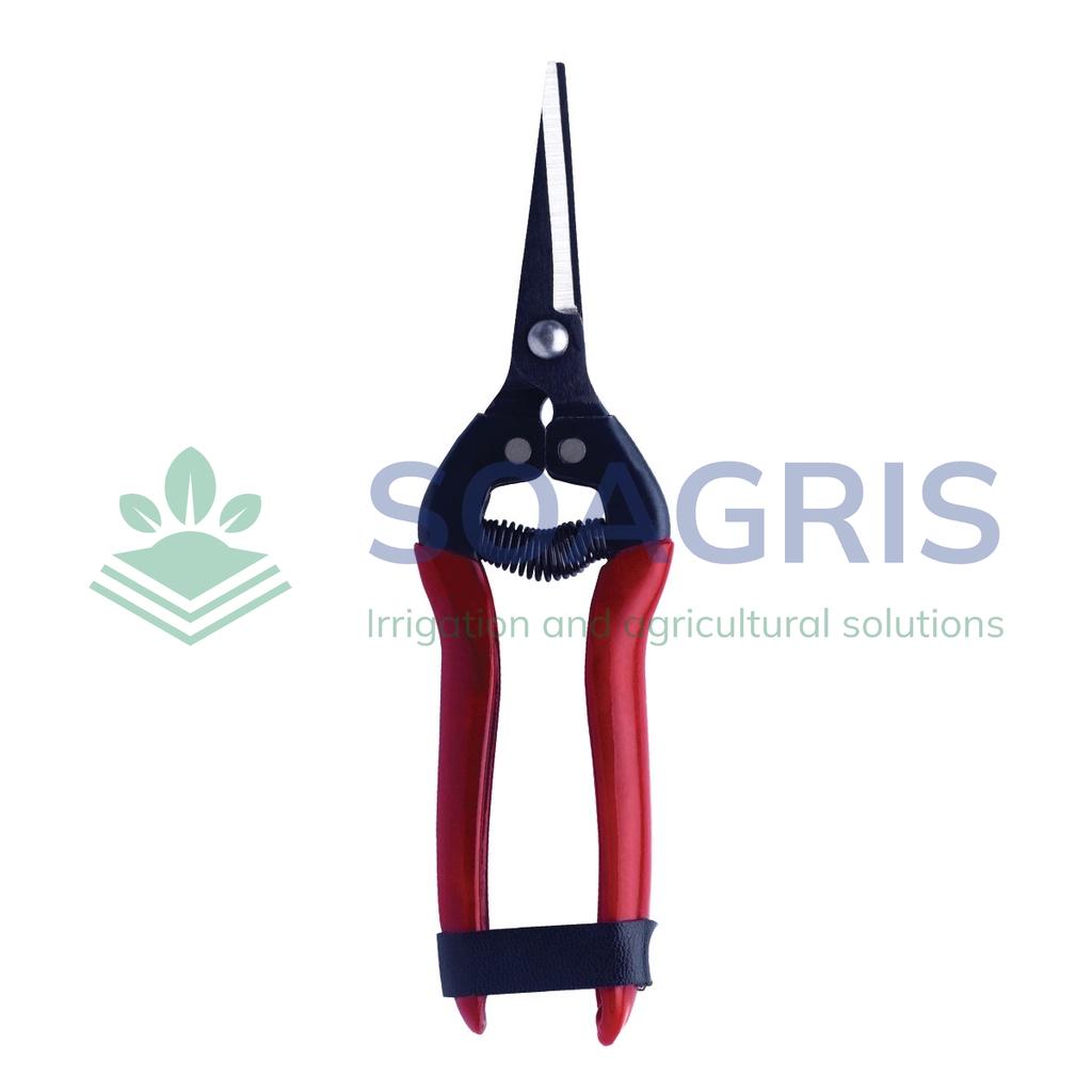 Citrus Scissors In Stainless Steel 190 Mm