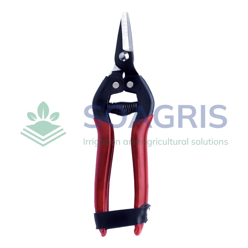 Citrus Scissors In Stainless Steel 160 Mm