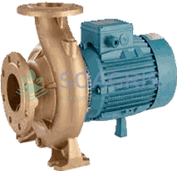 Elettropompe centrifughe monoblocco in bronzo Bronze close coupled centrifugal pumps B-NM B-NMS